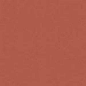 SANDERSON PAINT OLD WINE  95